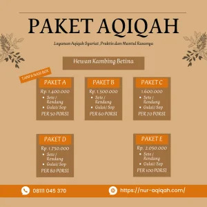 Paket Aqiqah Laki Laki
